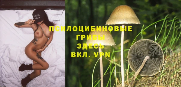 кокс Алзамай