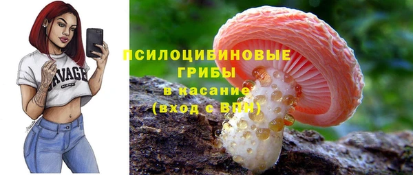 синтетический гашиш Алексин