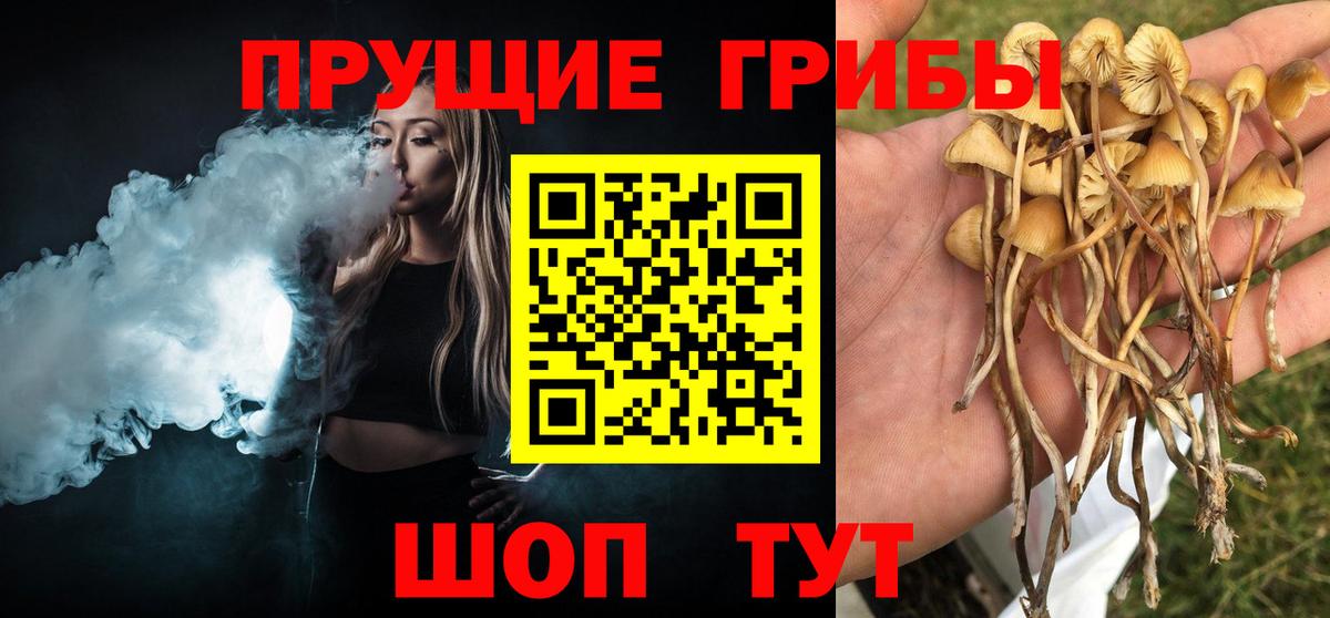 Псилоцибиновые грибы Magic Shrooms Искитим